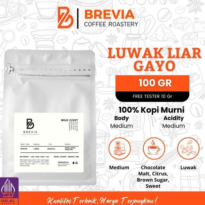 

Sale Kopi Luwak Liar Arabika Gayo Aceh Coffee Asli Specialty Roast Bean Espresso Biji Bubuk 100 Gram Beans Original Arabica Brown Sweet