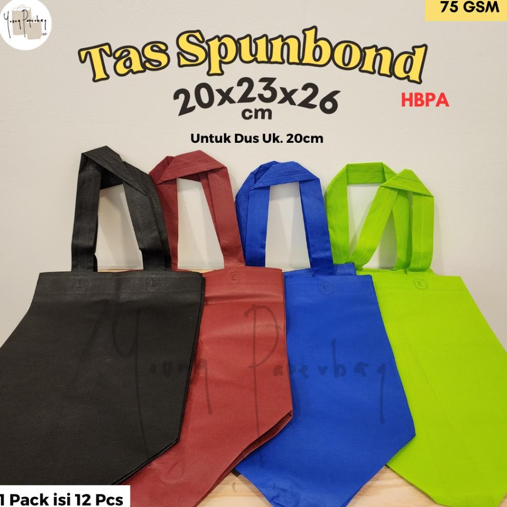 

Fg-80 Tas Kain Spunbond Goodie Bag Hbpa Box 20 Uk. 20X23X26 (1 Lsn)