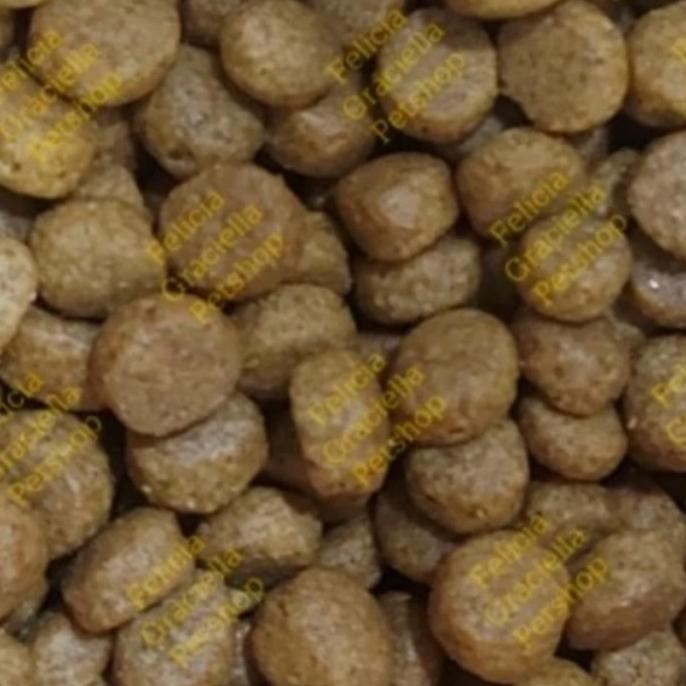 Promo Power Cat Salmon 8Kg Dryfood Catfood Makanan Kucing Murah Meriah