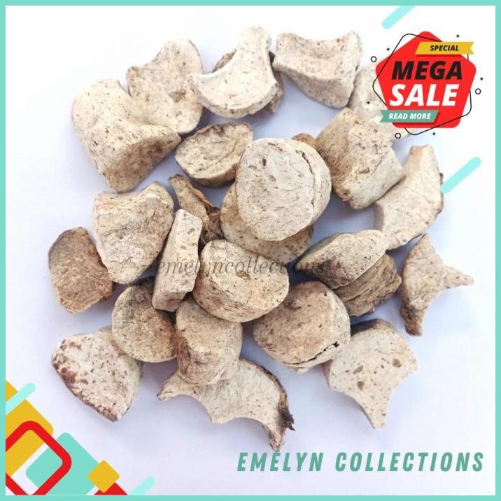 

PROMO MURAH 100G KELADI TIKUS KERING PREMIUM PRODUK BAGUS !!!