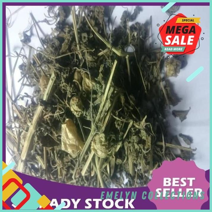 

PROMO 250 GRAM DAUN CIPLUKAN KERING PHYSALIS ANGULATA PREMIUM !!!
