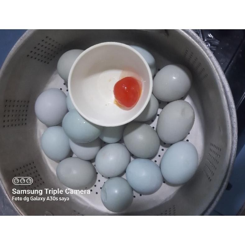 

Er-87 Telur Asin Masak
