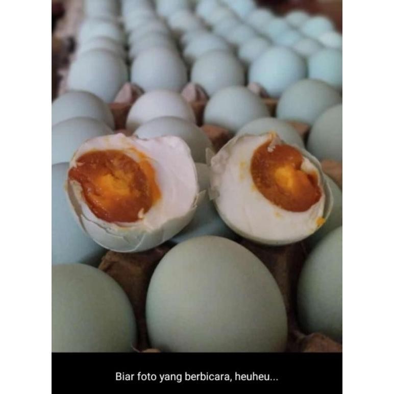 

Promo! Telur Asin Omega Khas Brebes Isi 10 Butir