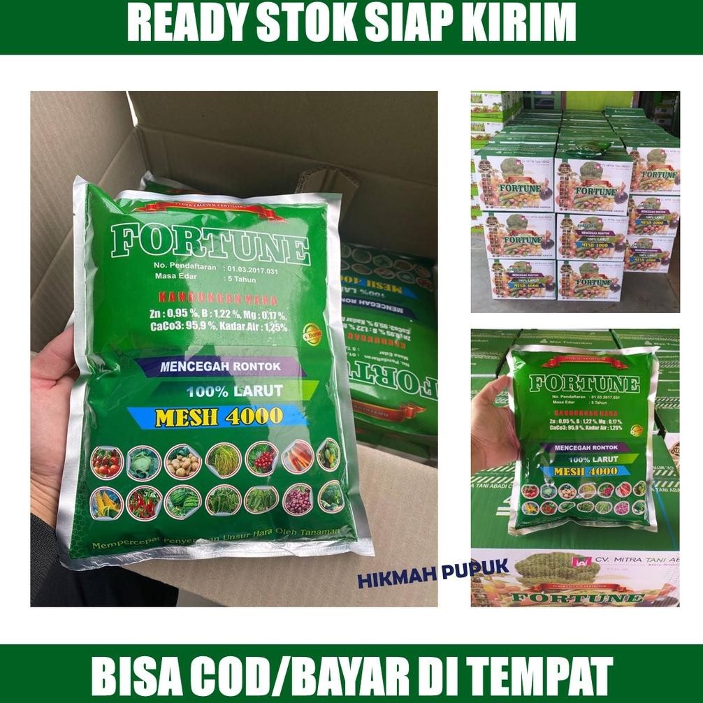 Tre-57 (Promo Cod) Fortune Isi 1Kg Obat Busuk Buah Pada Cabe/Cabai - Obat Layu Pada Tanaman Cabe/Cab