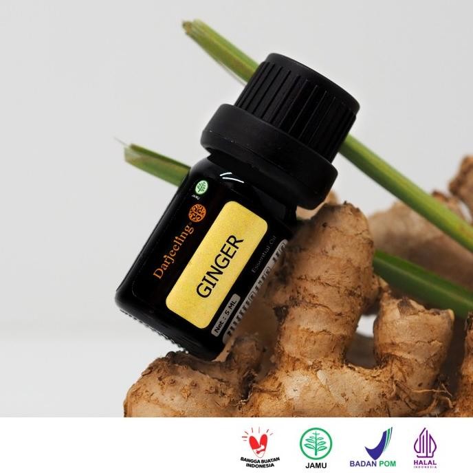 Sale 5Ml Ginger Essential Oil Minyak Jahe 100% Murni