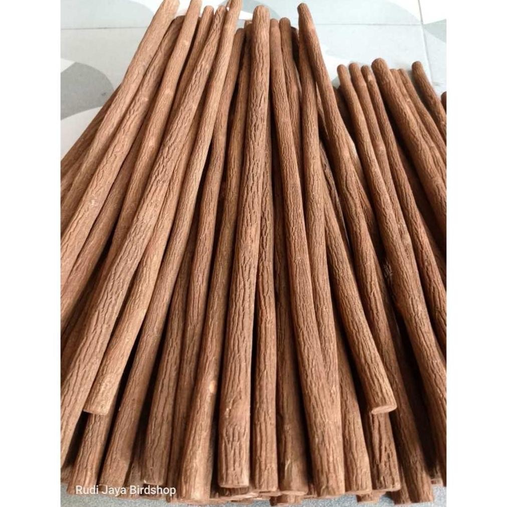 dh-68 Ox04 TANGKRINGAN ASEM JAWA TETEHAN SUPER LOMBA UNTUK BURUNG MURAI KACER CUCAK HIJAU CENDET JAL