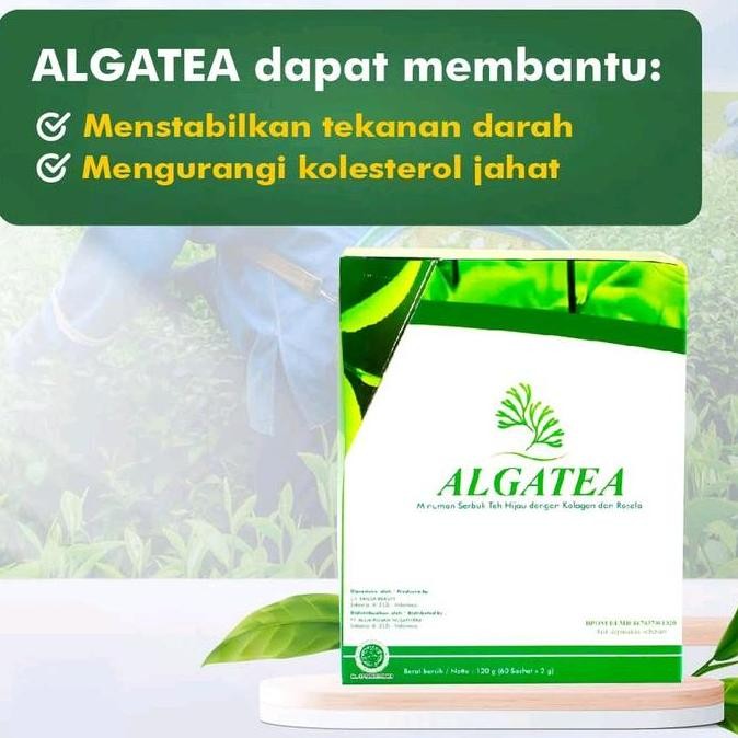 

Sale Alga Tea Karnus Teh Hijau Antioksidan Tinggi Green Tea - Konsep Karnus 60 Sachet/ Boks