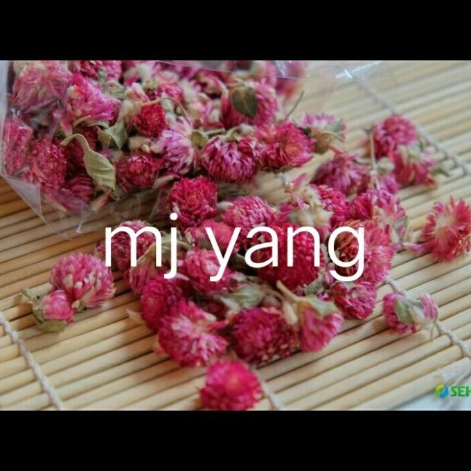 

Promo Teh Globe Amaranth 1Kg