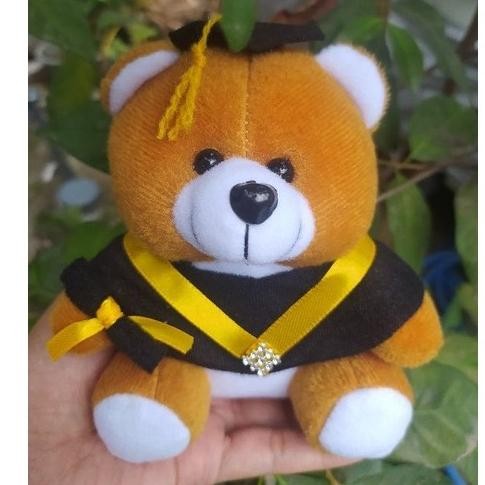 Boneka untuk hiasan bucket/boneka wisuda nUg
