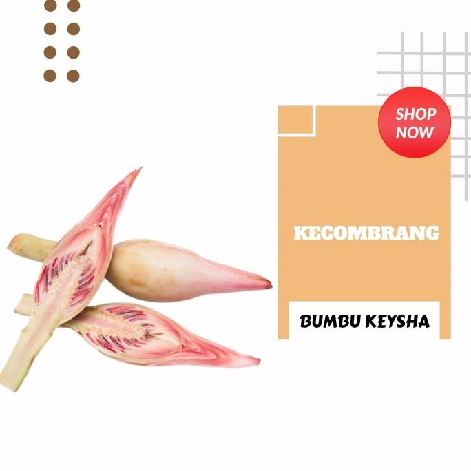

Kecombrang / Kencong /Sambuang / Honje nUg