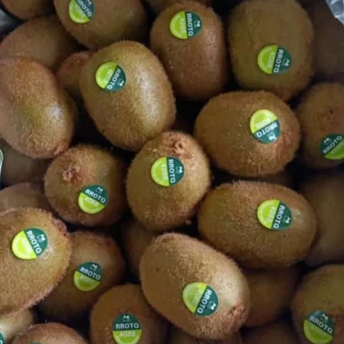

Kiwi Hijau Zespri Jumbo Import 500gr nUg