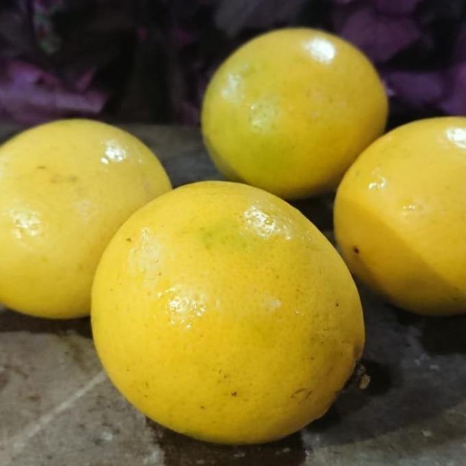 

jeruk lemon california lokal nUg