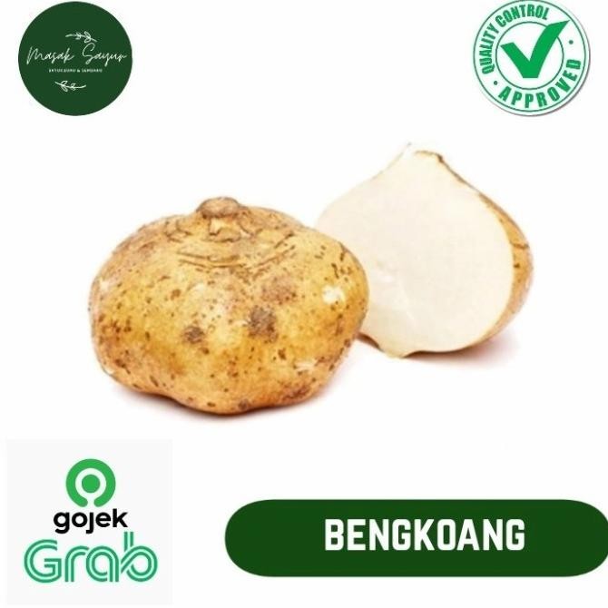 

bengkuang bengkoang segar 1 kg nUg