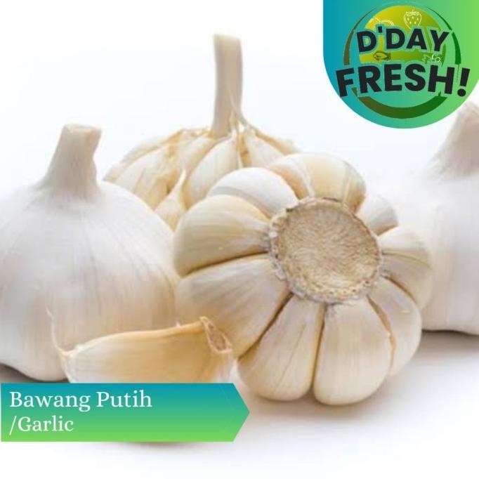 

Bawang Putih Biasa nUg
