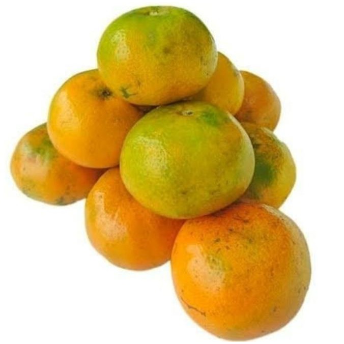 

Buah JERUK MEDAN Fresh 500gr Buah Orange Medan Segar 500gr nUg