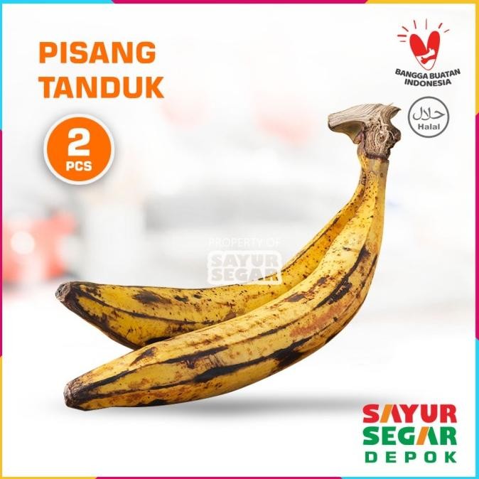 

BUAH PISANG TANDUK FRESH [2 Pcs] DOUBLE nUg