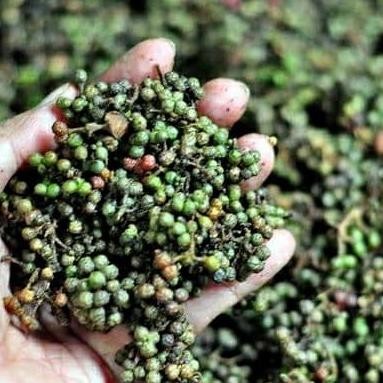 

Andaliman / Tuba / Merica Batak nUg