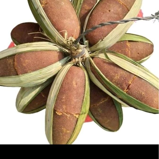 

Gula Aren Malingping 450 gram isi 2 batok/pcs Guren Murni Premium Quality 100% Asli - Bubuk nUg