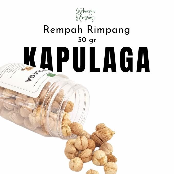 

Kapulaga Kering Tanpa Pemutih Rempah Antikanker Antioksidan nUg