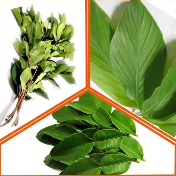 

Daun jeruk / daun salam / daun kunyit /ikat nUg