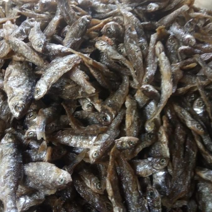 

Murah Ikan Bilih/Bilis Singkarak Asli Padang