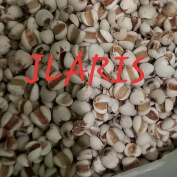

Promo Barley Super / Biji Jali Jali 1Kg
