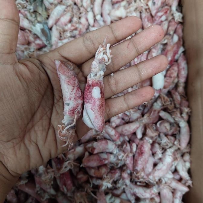 

Sale Cumi Baby Asin 10Kg/Ikan Asin Cumi Baby 10Kg