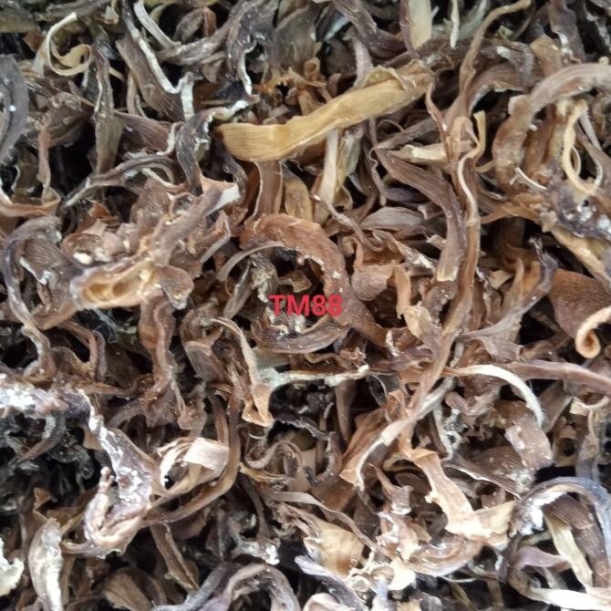 

Grosir Rebung Kering/Cuk Sun Khon 100 Gram