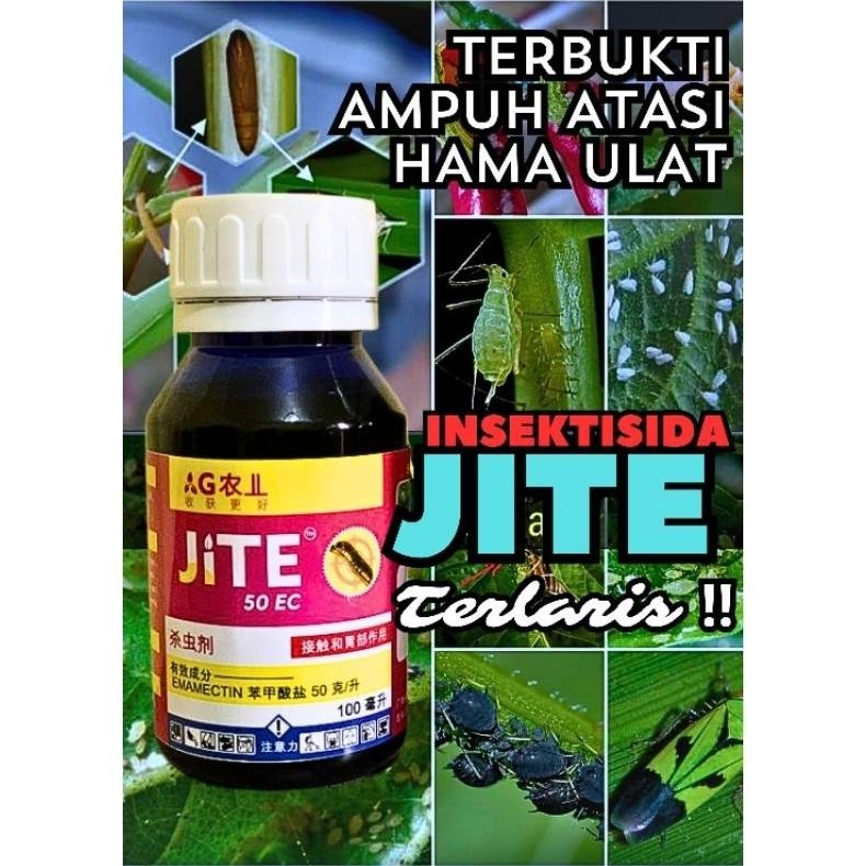 JITE INSEKTISIDA Pembasmi Hama Ulat dan Pada Semua Tanaman