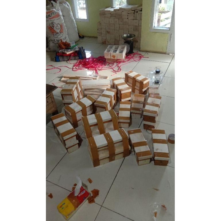 bibit lebah Klanceng trigona kele super tewul koloni leavi