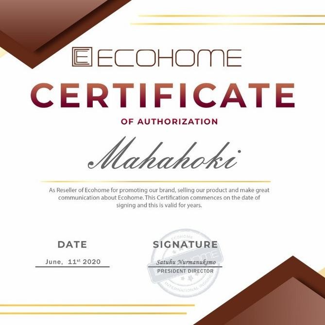 SALE ECOHOME SLOW JUICER ESJ-999(RPM 40) ORIGINAL PENGEKSTRAK BUAH IMPORT