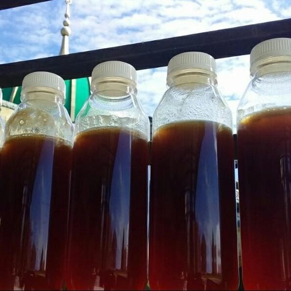 

Madu Hutan Kelulut Trigona Murni Original Kalimantan Terlaris