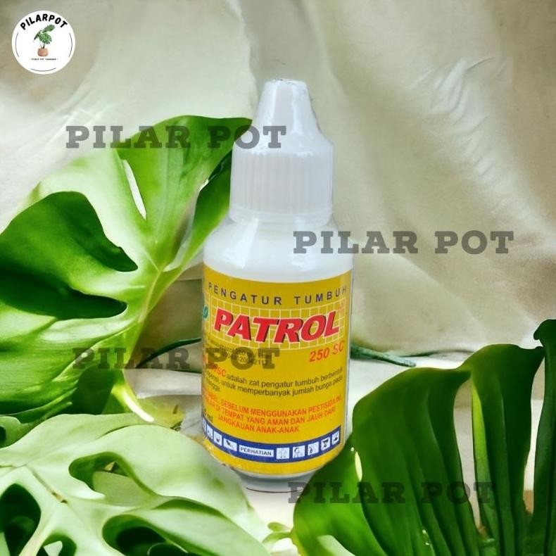 PATROL 250 SC 25 ML ZPT ZAT PENGATUR TUMBUH - PATROL 25 ML KECIL