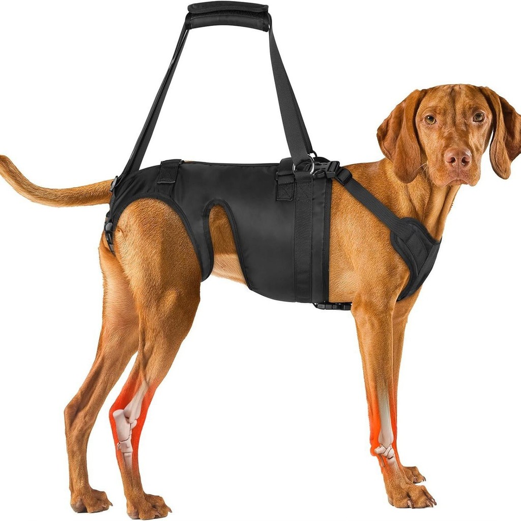 

Dog Pet Aid Belt Dog Hind Leg Injury Protection Dog Convenient Carrying Cat Carrying Dog Aid Walking Aid Belt