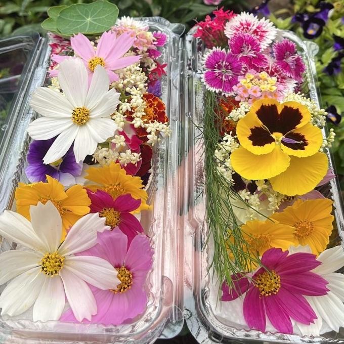 

Grosir Edible Flower By Mich