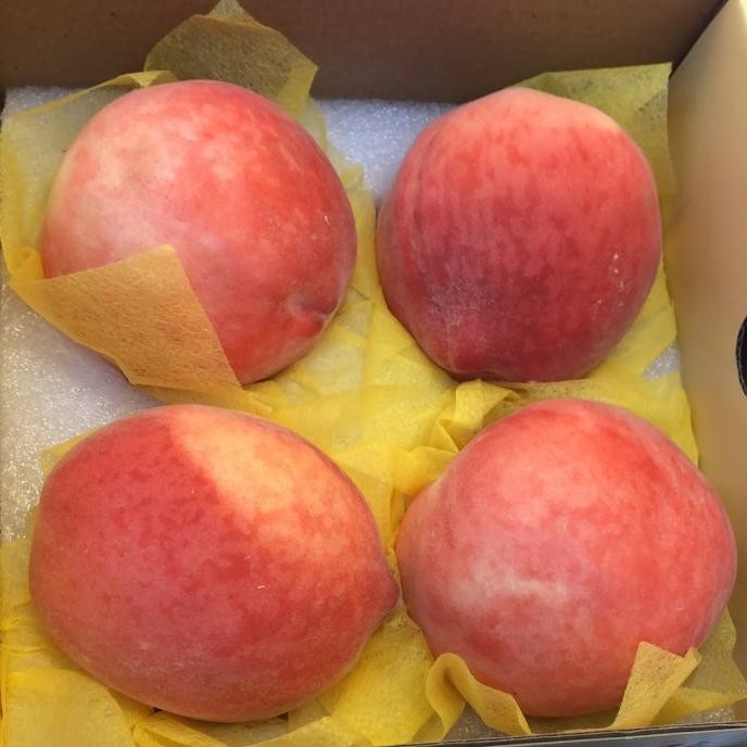 

Sale Buah Peach White Super Per Box