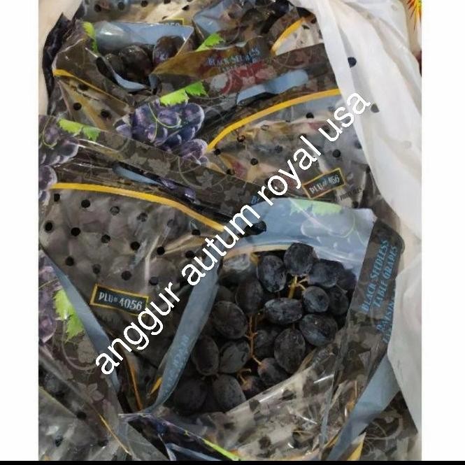 

Promo Anggur Autum Royal Usa Sedlees Fresh Per 1 Box Berat -+9 Kg