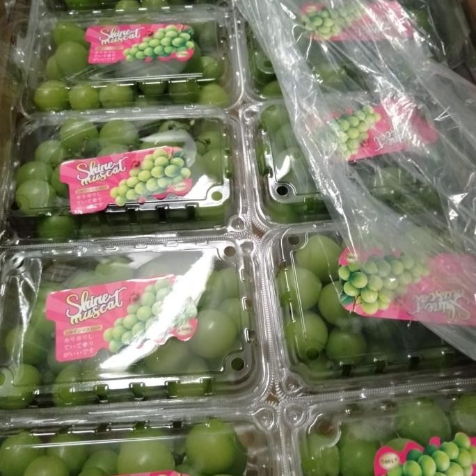 

Promo Anggur Shine Muscat 450 Gram