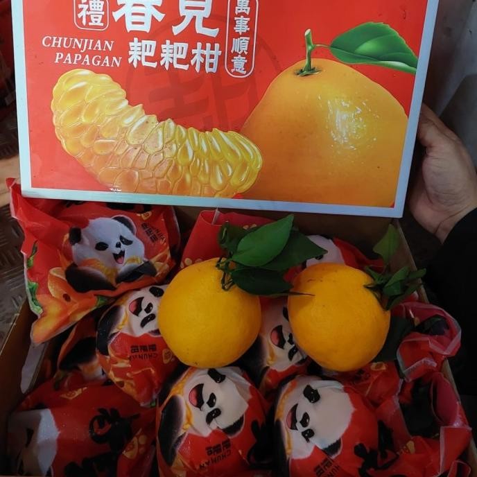 

Grosir Jeruk Dekopon Panda Seedless/ Jeruk Fresh Tanpa Biji/ Hampers Imlek