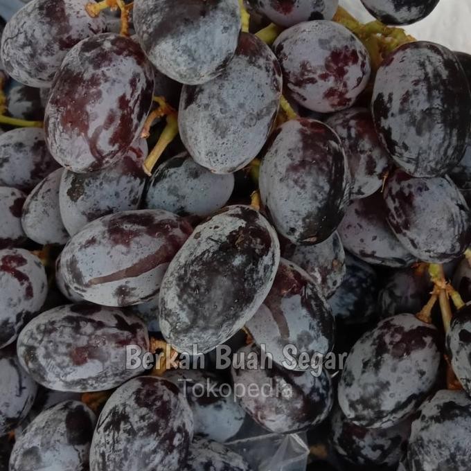 

Sale Anggur Hitam Autumn Non Biji 1 Kg