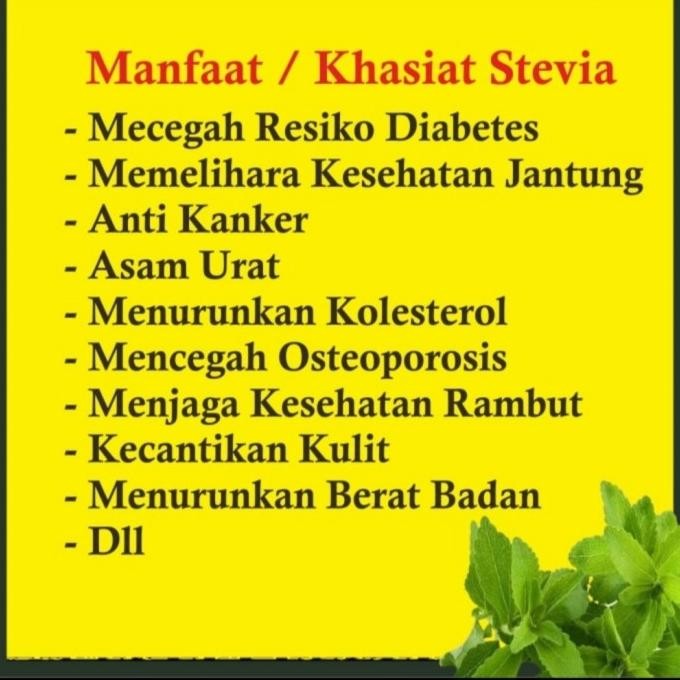 

Promo Gula Stevia Kemasan Besar 30 Ml