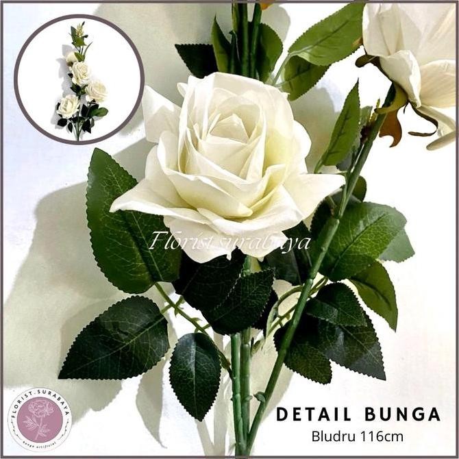 TERBARU BUNGA MAWAR TANGKAI PANJANG-BUNGA SUDUT-BUNGA MAWAR BLUDRU (KN-7)