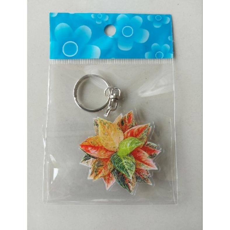 Pot Panjang Alpen 60 cm Pot Persegi Panjang Pot Plastik