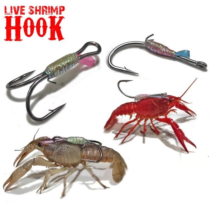 Mata Kail Udang Hidup Untuk Memancing Ikan Di Laut Danau Sungai Co