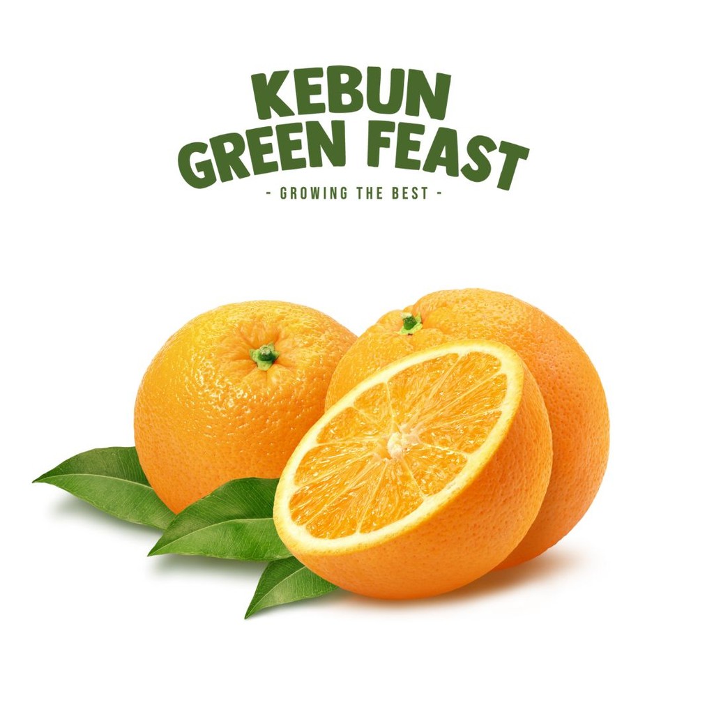 

Sunkist RRC - Jeruk Sunkist - Buah Import