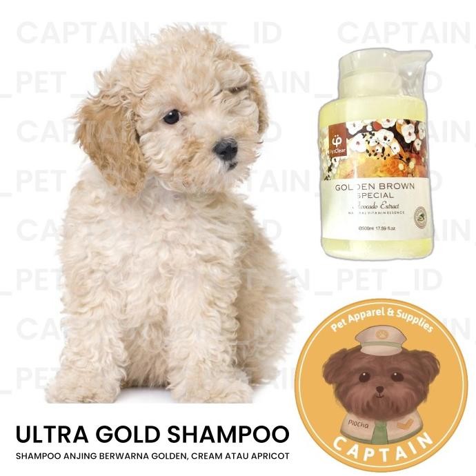 PET SHAMPOO GOLDEN BROWN CREAM APRICOT POODLE GOLDEN RETRIEVER GROOMING SHAMPOO ANJING PELIHARAAN Te