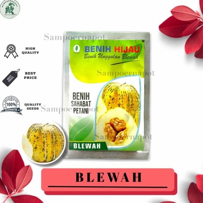 benih bibit buah blewah kemasan benih hijau - BENIH HIJAU BLEWAH FFFF