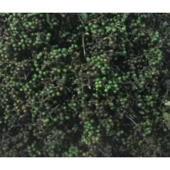 

Andaliman 250 gram New