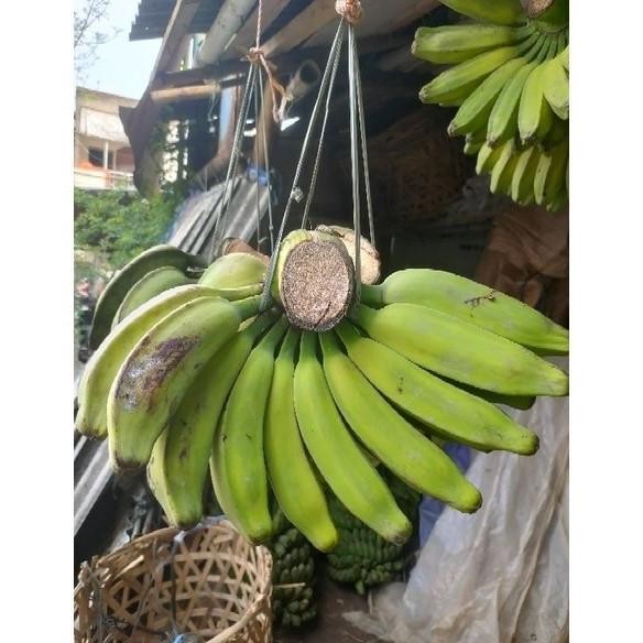 

Fbx-4 Rg-4 Buah Pisang Kepok 1 Biji 1 Pcs Untuk Pakan Makanan Burung Cucak Hijau Trucuk Kutilang Jalak Pleci Burung Beo Makanan Ayam Bebek Itik Sale