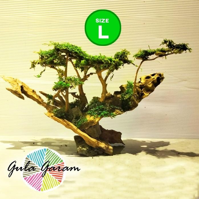 Terlaris Bonsai Jungle Book (L) Tanaman Air Aquascape Hiasan Aquarium Ikan Hias